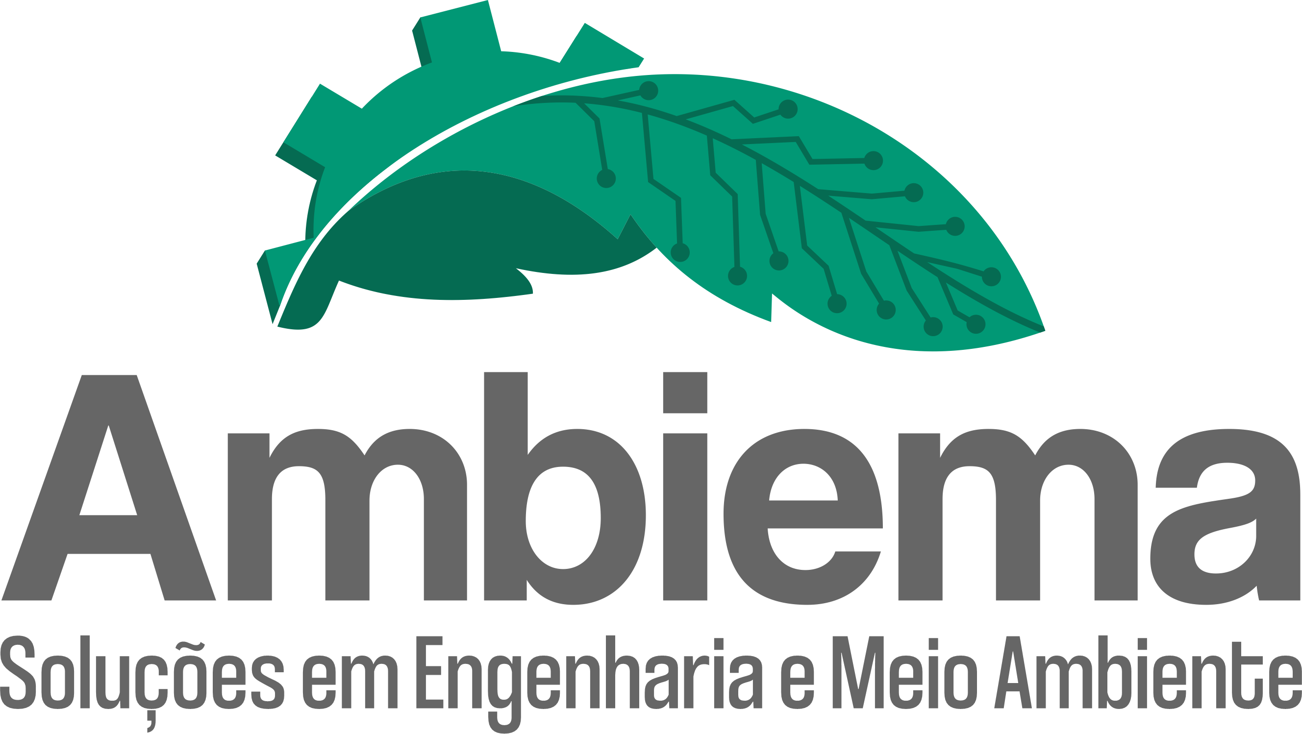 logo ambiema